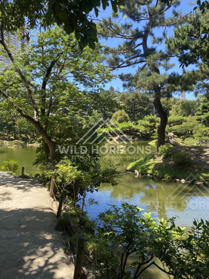 Shaded Garden Path Beside a Pond in Shukkeien Garden. Hiroshima, Japan.