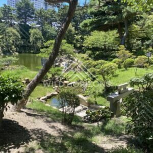 Garden Stream and Stone Lantern Overlooking a Pond. Hiroshima, Japan.