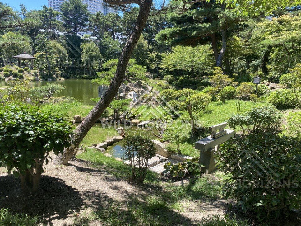 Garden Stream and Stone Lantern Overlooking a Pond. Hiroshima, Japan.