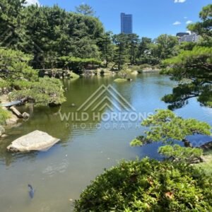 Wide Pond View with Pines in Shukkeien Garden. Hiroshima, Japan.