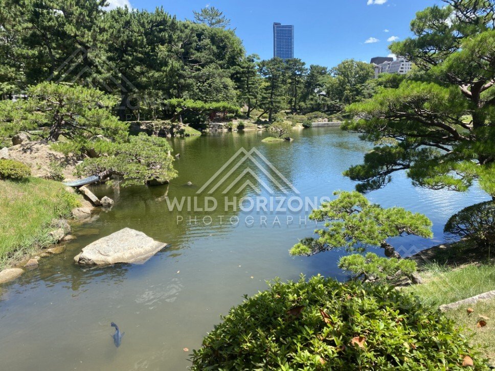 Wide Pond View with Pines in Shukkeien Garden. Hiroshima, Japan.