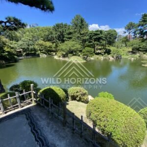 Panoramic Pond and Manicured Shrubs in Shukkeien Garden. Hiroshima, Japan.
