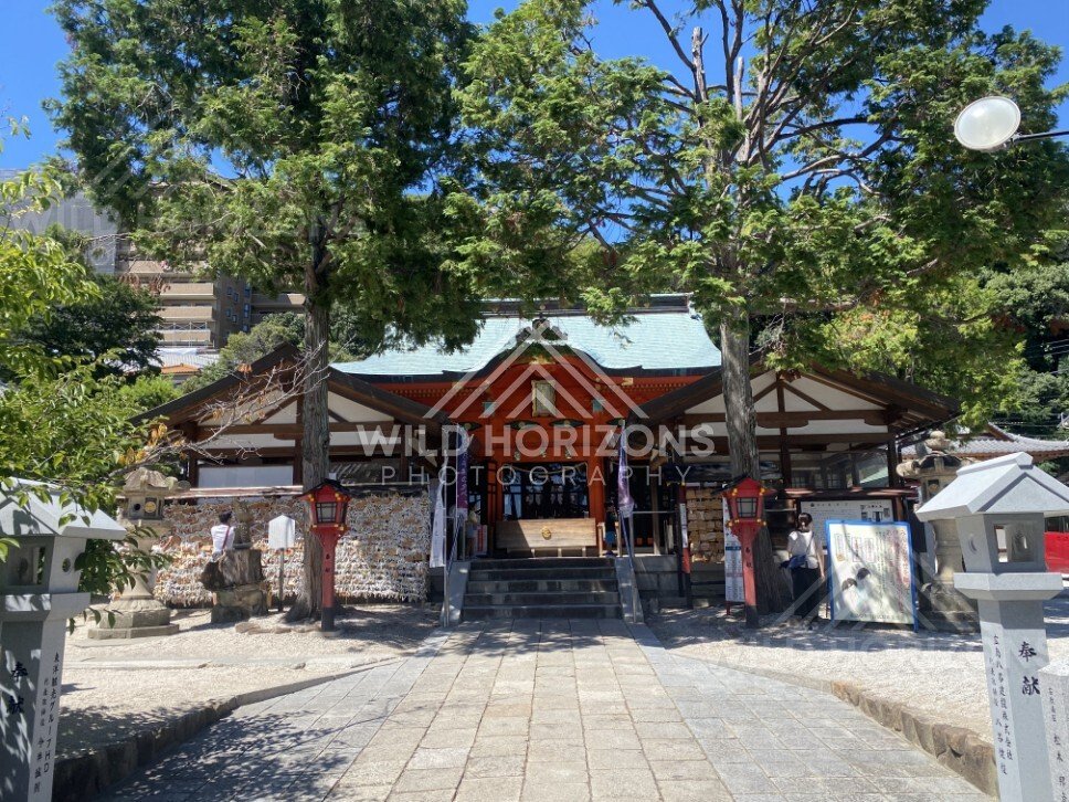 Main Hall of Kinko Inari Shrine Framed by Trees. Hiroshima, Japan.