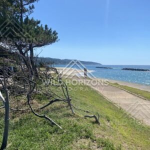 Sea of Japan Shoreline at Kirara Taki Beach. Shimane, Japan.