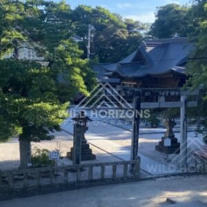 Quiet Shrine Courtyard with Torii and Stone Lanterns. Matsue, Japan.
