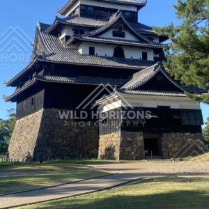 Matsue Castle Keep Rising Above Stone Foundations. Matsue, Japan.