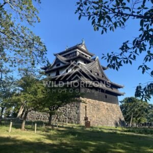 Matsue Castle Framed by Tree Branches. Matsue, Japan.