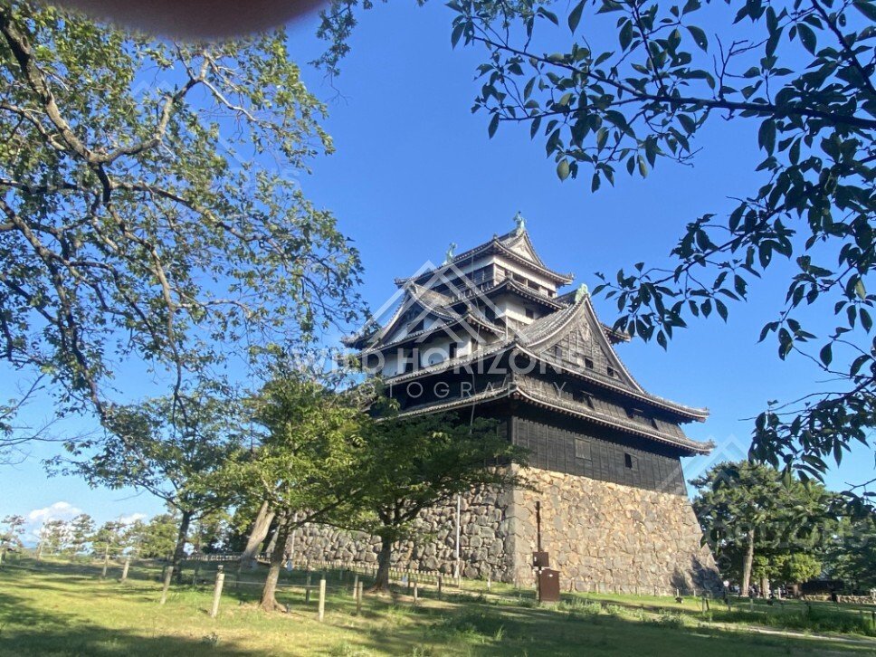 Castle Keep View Through Summer Foliage. Matsue, Japan.