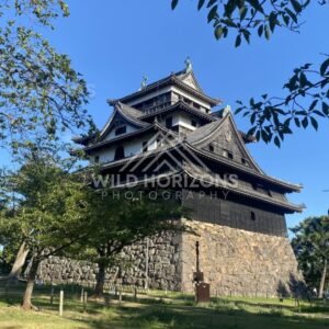 Matsue Castle Keep with Leafy Canopy Framing. Matsue, Japan.