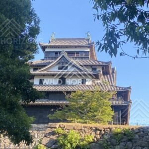 Matsue Castle Above a Stone Wall Between Trees. Matsue, Japan.