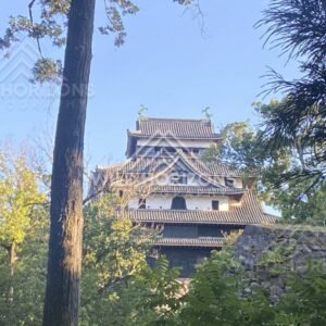 Distant View of Matsue Castle Through Trees and Stonework. Matsue, Japan.
