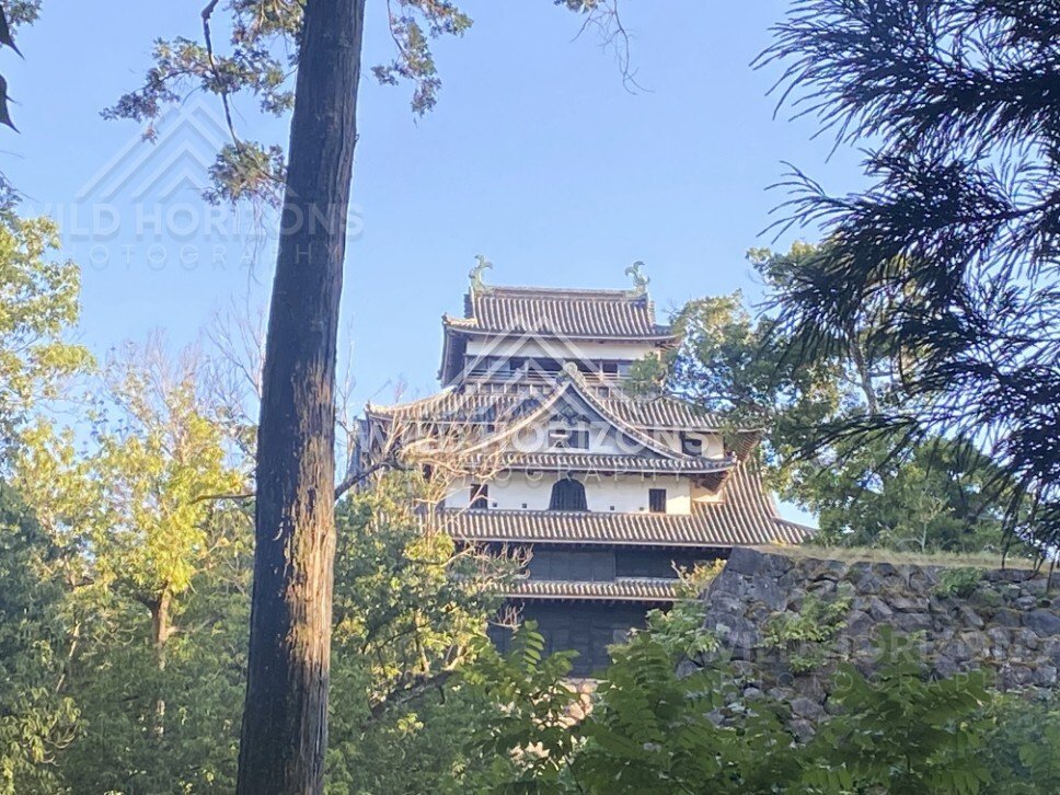 Distant View of Matsue Castle Through Trees and Stonework. Matsue, Japan.