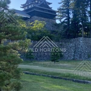 Matsue Castle Overlooking Stone Ramparts and Pines. Matsue, Japan.
