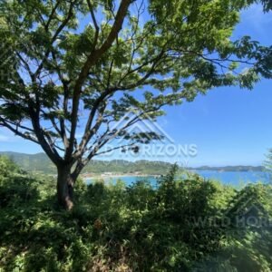 Sea View Through Coastal Trees Near Chikumi Beach. Shimane, Japan.