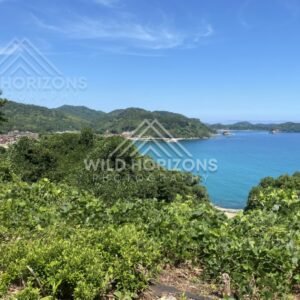 Turquoise Bay and Headlands Along the Sea of Japan Coast. Shimane, Japan.