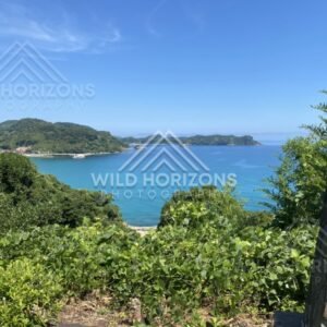 Turquoise Bay and Forested Headlands Seen From a Coastal Lookout. Shimane, Japan.