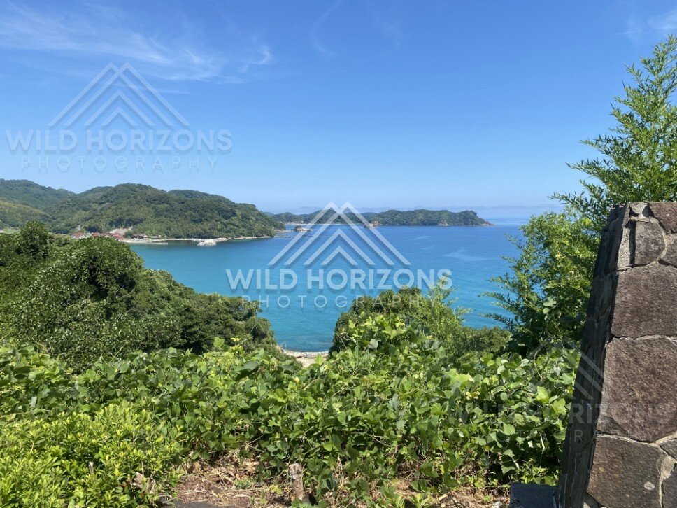 Turquoise Bay and Forested Headlands Seen From a Coastal Lookout. Shimane, Japan.