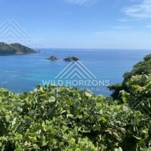 Coastal View With Leafy Foreground and Offshore Islets. Shimane, Japan.