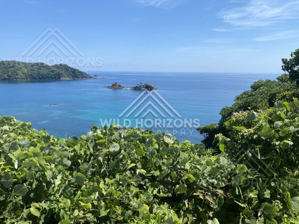 Coastal View With Leafy Foreground and Offshore Islets. Shimane, Japan.