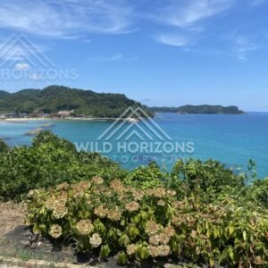 Coastal Village and Breakwaters Along a Turquoise Bay. Shimane, Japan.