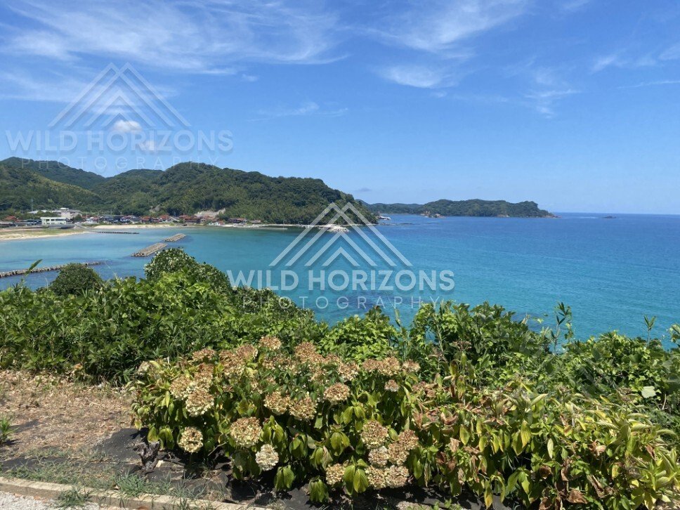 Coastal Village and Breakwaters Along a Turquoise Bay. Shimane, Japan.