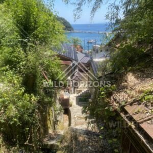Steep Stairway Down to a Harbor Framed by Greenery. Mihonoseki, Japan.