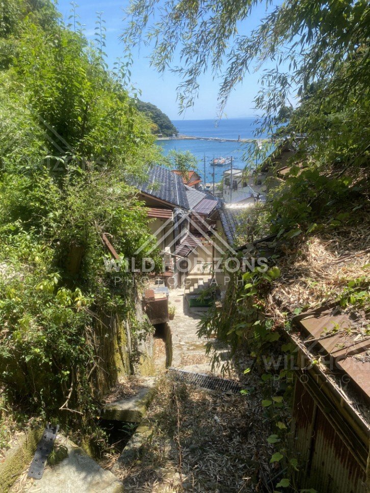 Steep Stairway Down to a Harbor Framed by Greenery. Mihonoseki, Japan.