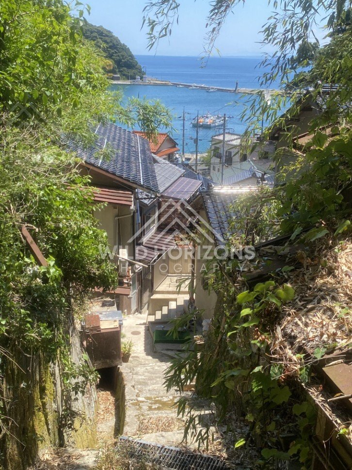 Rooftops and Harbor View Through Bamboo and Foliage. Mihonoseki, Japan.
