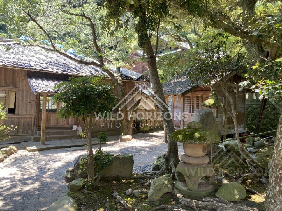Shaded Shrine Courtyard With Mossy Stone Lantern and Wooden Buildings. Mihonoseki, Japan.