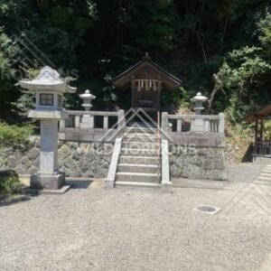 Small Forest Shrine Reached by Stone Steps and Lanterns. Mihonoseki, Japan.