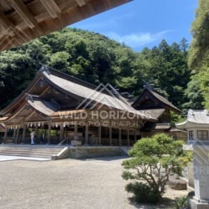 Thatched-Roof Shrine Buildings in a Forested Valley. Mihonoseki, Japan.