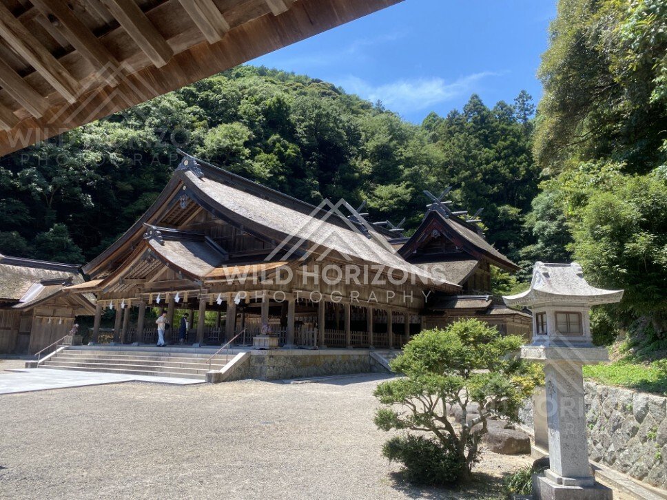 Thatched-Roof Shrine Buildings in a Forested Valley. Mihonoseki, Japan.