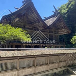 Side View of a Traditional Shrine Roof With Crossed Chigi Beams. Mihonoseki, Japan.