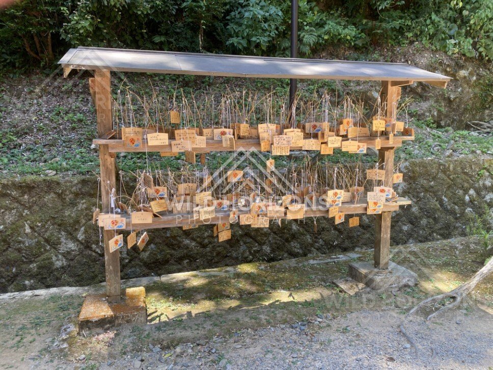 Prayer Plaques Hanging on a Wooden Ema Rack. Mihonoseki, Japan.