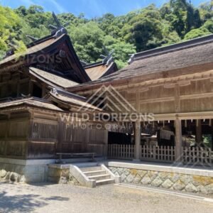 Shrine Courtyard With Layered Rooflines and Forest Backdrop. Mihonoseki, Japan.