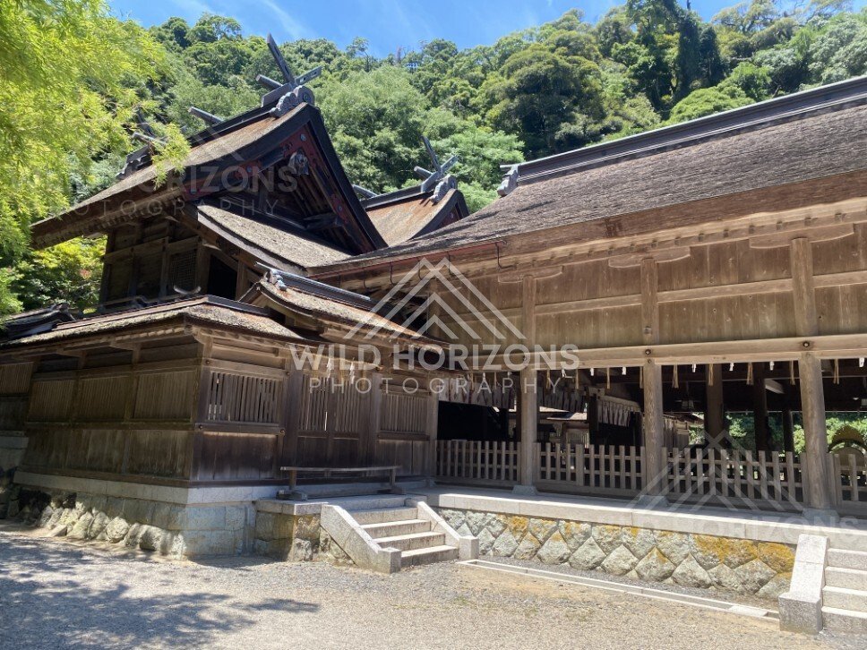 Shrine Courtyard With Layered Rooflines and Forest Backdrop. Mihonoseki, Japan.