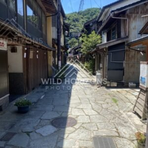 Quiet Alley of Mixed Timber and Corrugated Buildings. Mihonoseki, Japan.