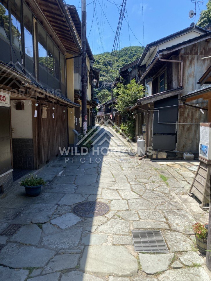 Quiet Alley of Mixed Timber and Corrugated Buildings. Mihonoseki, Japan.