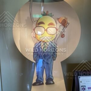 Detective Conan Character Cutout at Gosho Aoyama Manga Factory. Hokuei, Japan.