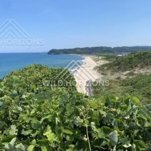 Sanin Kaigan Coastline Lookout Over a Curving White-Sand Beach. Tottori, Japan.