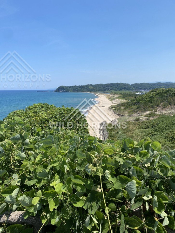 Sanin Kaigan Coastline Lookout Over a Curving White-Sand Beach. Tottori, Japan.