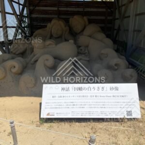 White Rabbit of Inaba Sand Sculpture Display at Hakuto Shrine. Tottori, Japan.