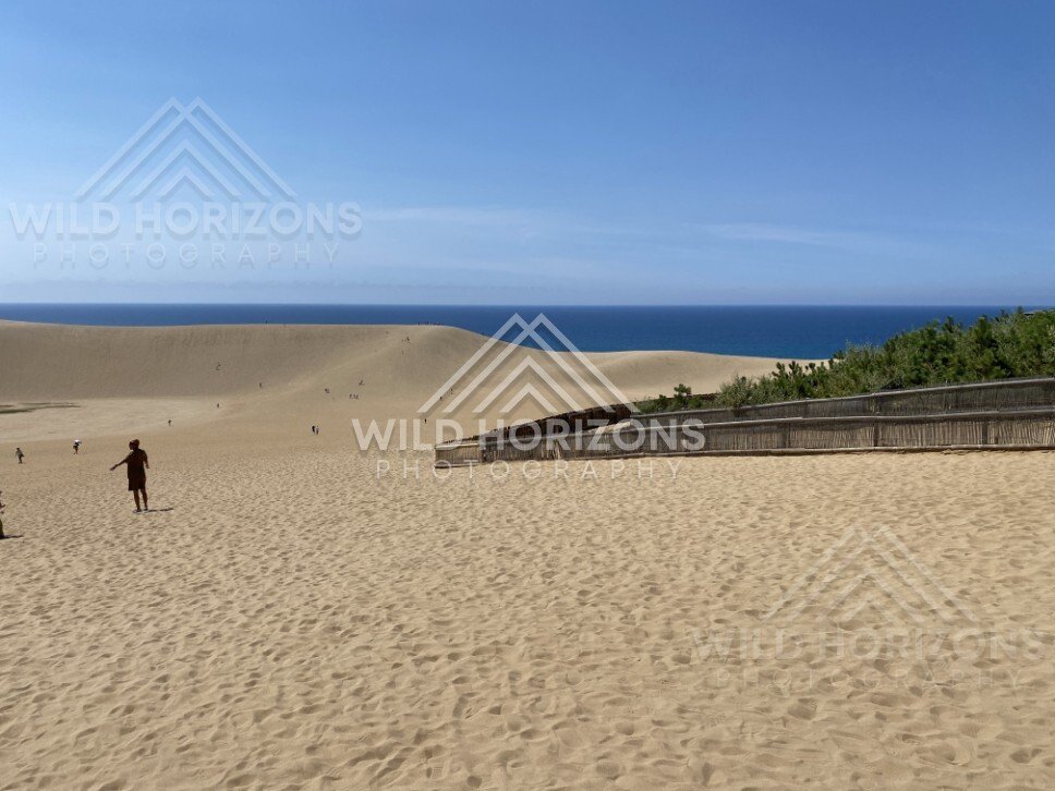 Tottori Sand Dunes Ridge With Sea on the Horizon. Tottori, Japan.
