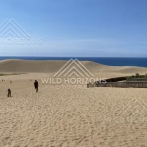 Footprints Across the Tottori Sand Dunes Toward the Coast. Tottori, Japan.