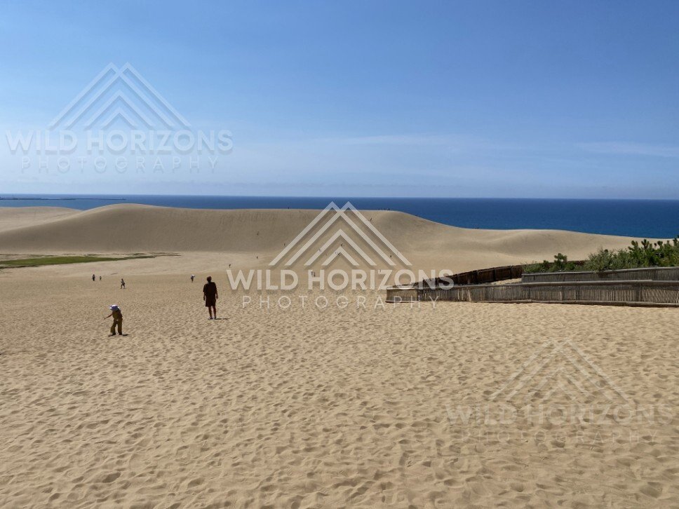 Footprints Across the Tottori Sand Dunes Toward the Coast. Tottori, Japan.