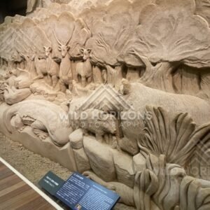Sand Relief of Wildlife and Forest Animals in Motion. Tottori Sand Museum, Japan