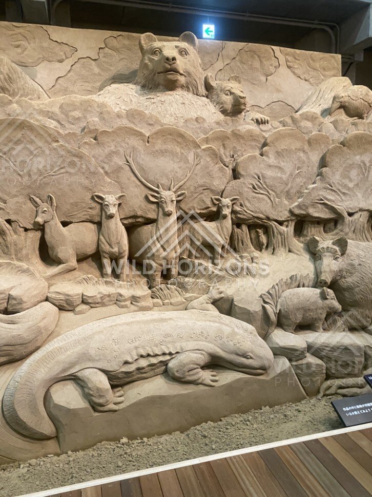 Close-Up Sand Sculpture Panel of Deer, Boar and Other Animals. Tottori Sand Museum, Japan
