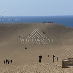 Hikers cresting a high dune ridge above the Sea of Japan. Tottori Sand Dunes, Japan