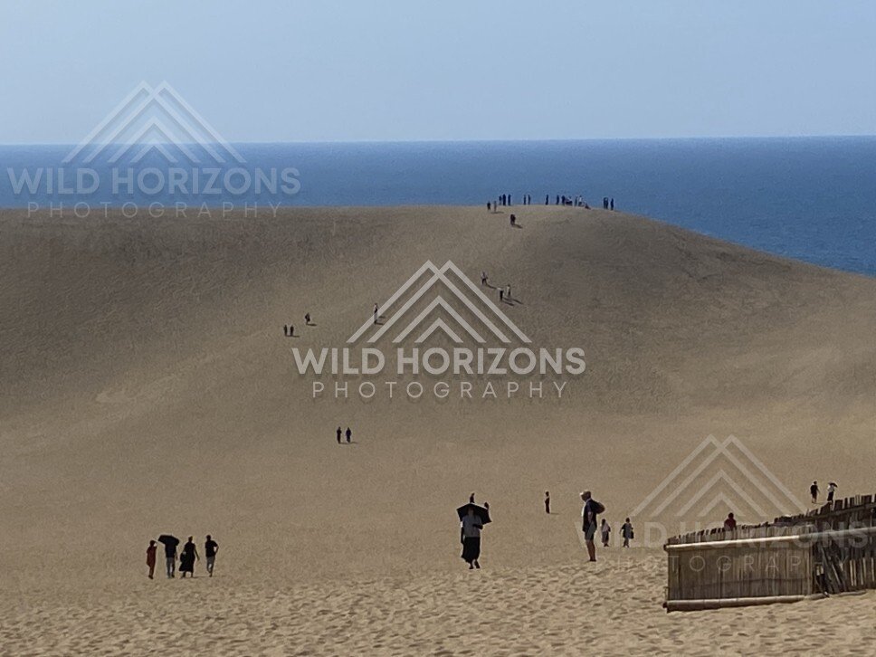 Hikers cresting a high dune ridge above the Sea of Japan. Tottori Sand Dunes, Japan