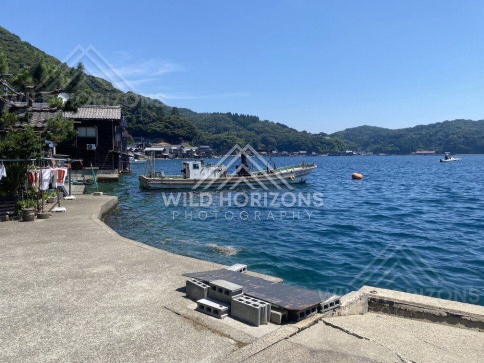 Small fishing boat moored beside waterfront homes on a quiet harbour. Ine, Japan